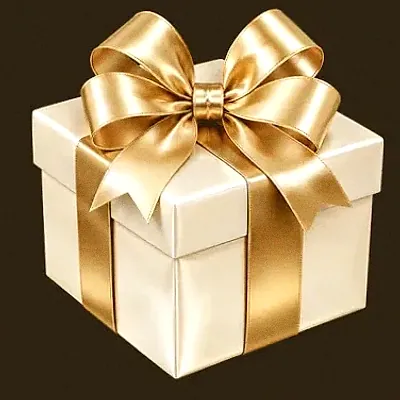 Ribboned gift box — Roospin