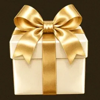 Ribbon gift box — Roospin