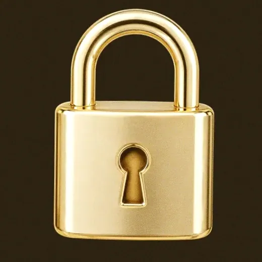 Metal padlock — Roospin