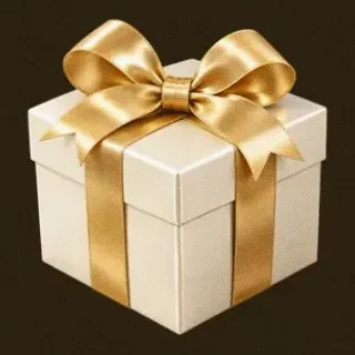 Wrapped gift box — Roospin