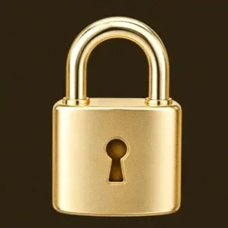 Metal padlock — Roospin