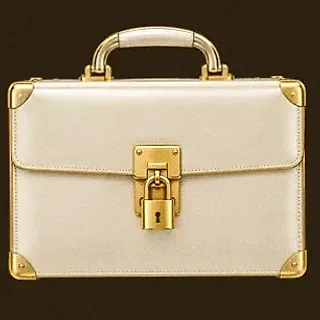 Locked leather briefcase — Roospin