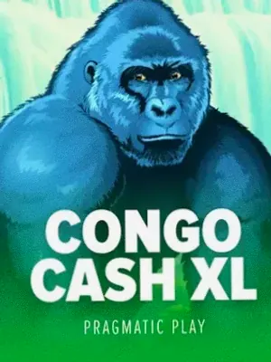 Congo Cash XL at Roospin