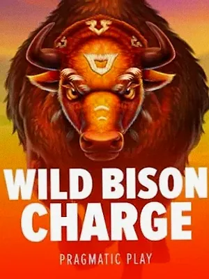 Wild Bison Charge at Roospin